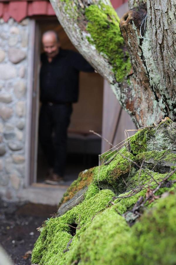 Noesundsgarden Hotell & Vandrarhem Kültér fotó